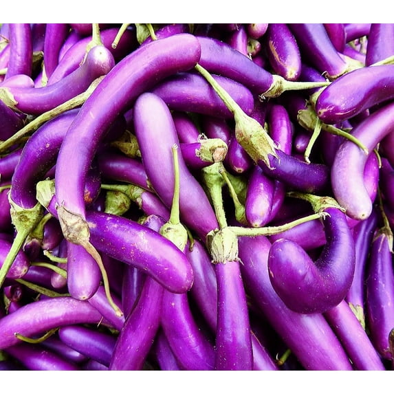 Vegetable Garden Seeds for Planting - Grow Heirloom Vegetables (Purple Beauty Eggplant)