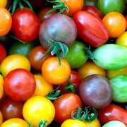 Vegetable Garden Seeds for Planting - Grow Heirloom Vegetables (Rainbow Cherry Tomatos)