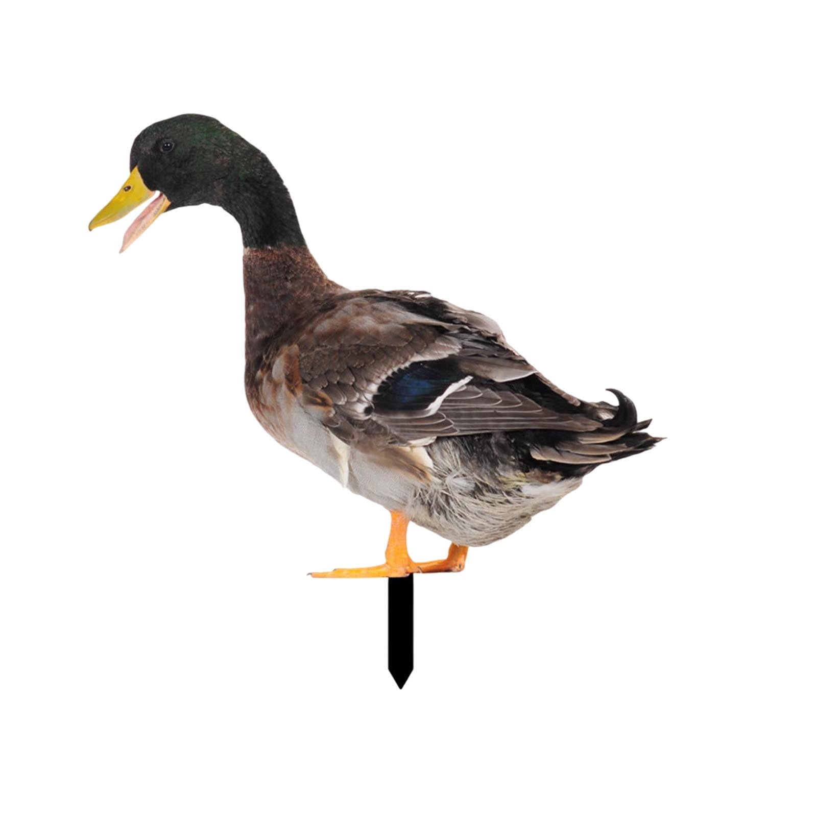 Vegetable for Garden Garden Signs for Large Terrarium Figurines Train