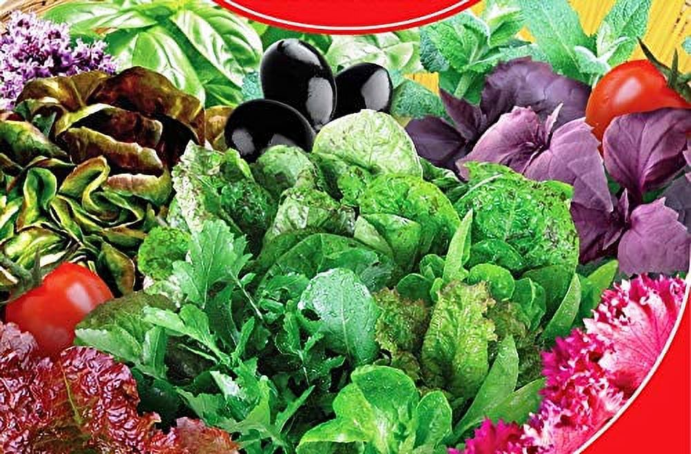  Vegetable Indoor Mix of Italian Lettuce and Spicy Crops YearRound