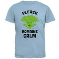 thumbnail image 1 of Vegetable Lettuce Please Romaine Remain Calm Funny Mens T Shirt Light Blue 2XL, 1 of 1