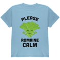 thumbnail image 1 of Vegetable Lettuce Please Romaine Remain Calm Funny Youth T Shirt Light Blue YLG, 1 of 1