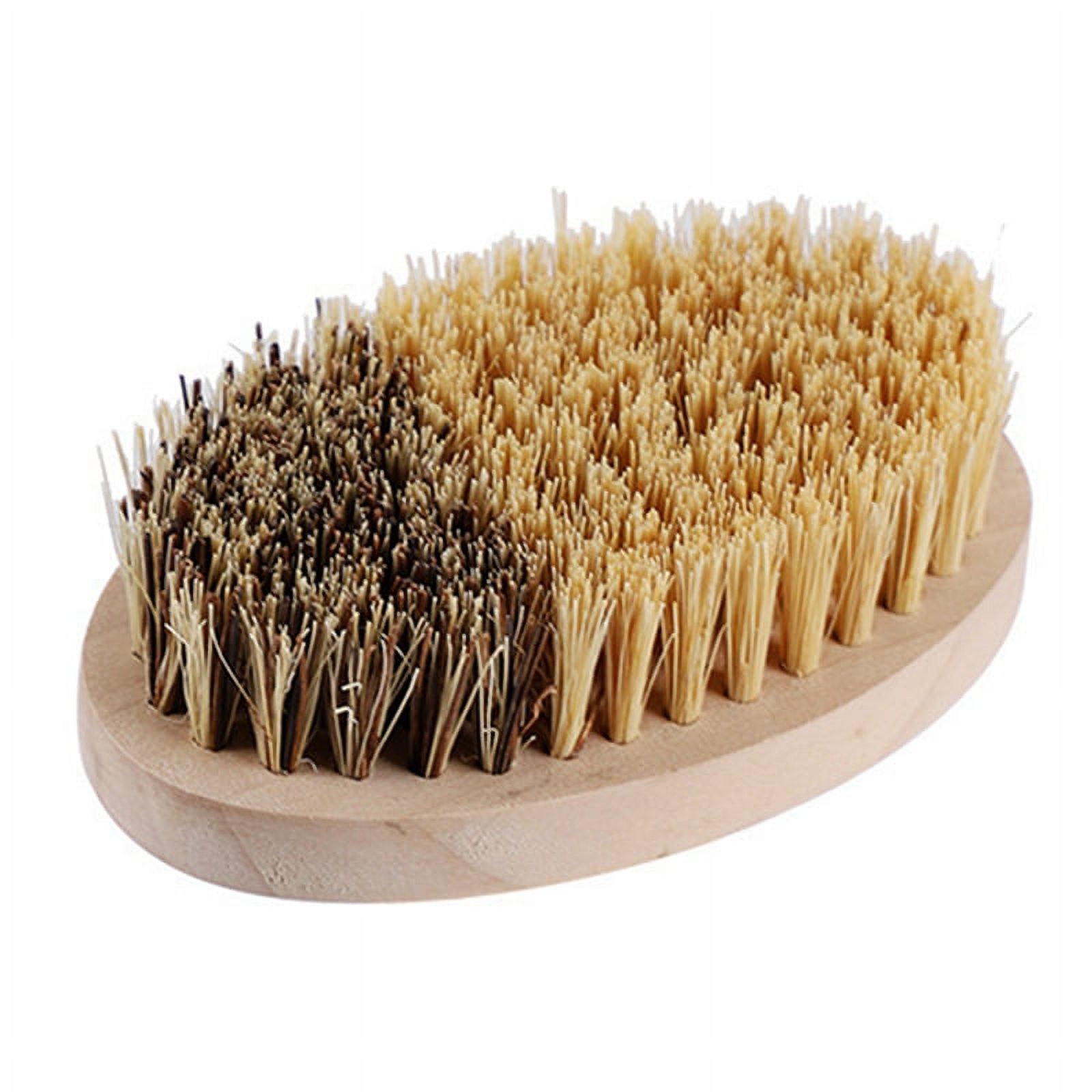 Palm Brush mushroom brush Potato Scrubber Scrub Bristles with Wood