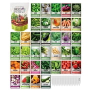 Vegetable Seed Vault Kit – 35 Heirloom Non-GMO Vegetable Seeds for Gardening Survival Food Storage
