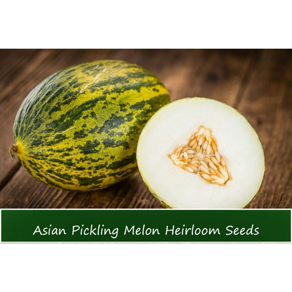 Vegetable Seeds- Asian Pickling Melon - 10 Heirloom Seeds
