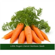 Vegetable Seeds-Little Fingers Carrot- 100 Seeds- Extra Sweet - Baby Carrot