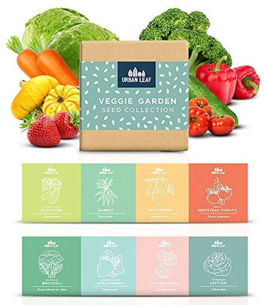Vegetable Seeds Planting - Heirloom Non GMO Veggie Garden Plant Seeds - Great for Planting Indoor or Outdoors | Veggie Seeds Packet for Home Garden- 8 seeds to plant!