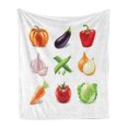 thumbnail image 1 of Vegetable Soft Flannel Fleece Blanket, Vegan Menu Pumpkin Eggplant Pepper Tomato Garlic Bunch of Organic Farm Elements, Cozy Plush for Indoor and Outdoor Use, 70" x 90", Multicolor, by Ambesonne, 1 of 5