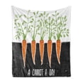 thumbnail image 1 of Vegetable Soft Flannel Fleece Throw Blanket, Carrot Roots Growing Bedding Plants Farm Food Ecology Theme and Words, Cozy Plush for Indoor and Outdoor Use, 50" x 70", Black Green Orange, by Ambesonne, 1 of 5