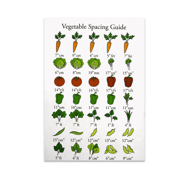Vegetable Spacing Guide Chart - Garden Enthusiast - 13x19 Poster Print ...