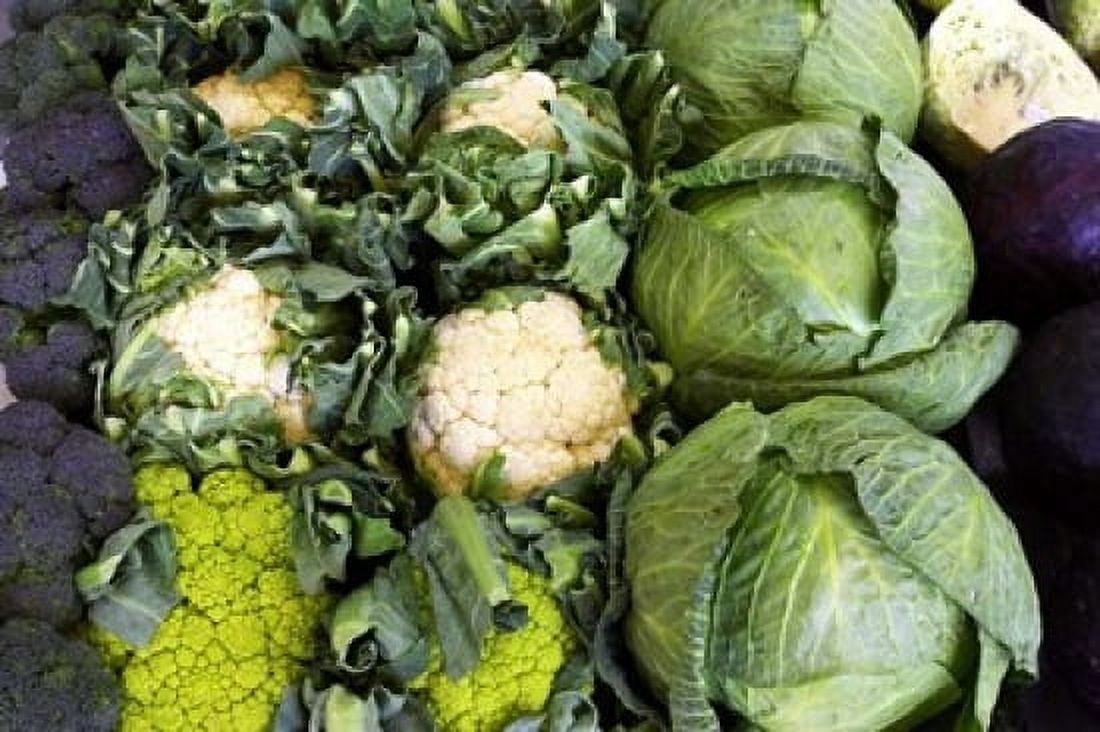 Vegetable Stall Cromwell Central Otago South Island New Zealand Canvas Art - David Wall DanitaDelimont (34 x 23)