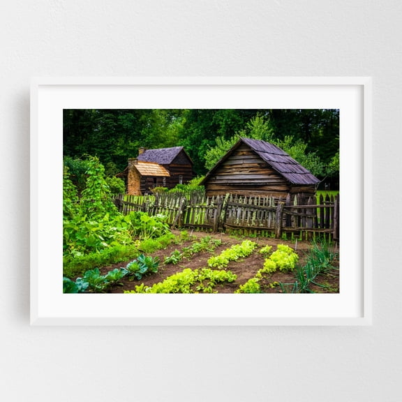 Vegetable garden at the Mountain Farm Museum - North Carolina Photography White Framed Wall Art Print 24 x 36 inches