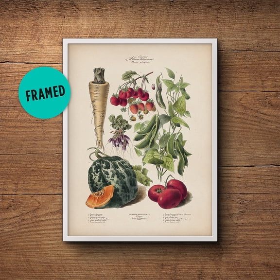 Vegetables Poster, Unframed Paper Poster 8x10in
