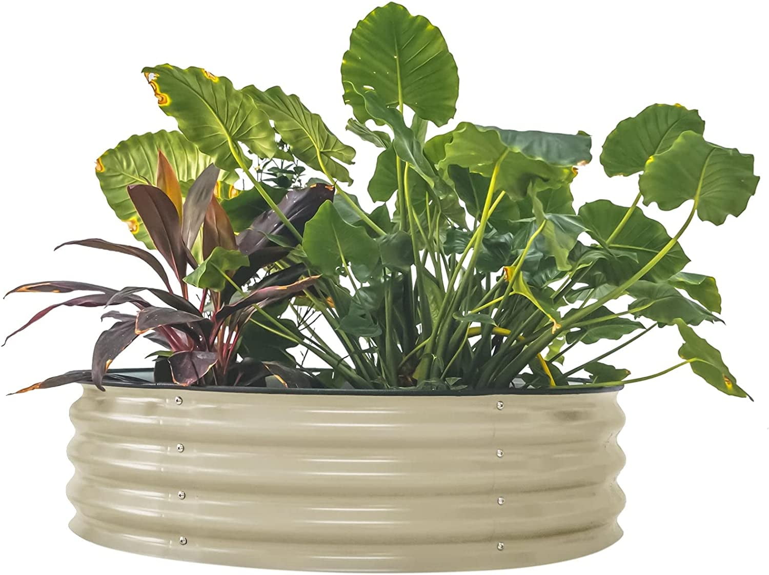Pearl White Round Metal Raised Garden Bed for Outdoor Spaces