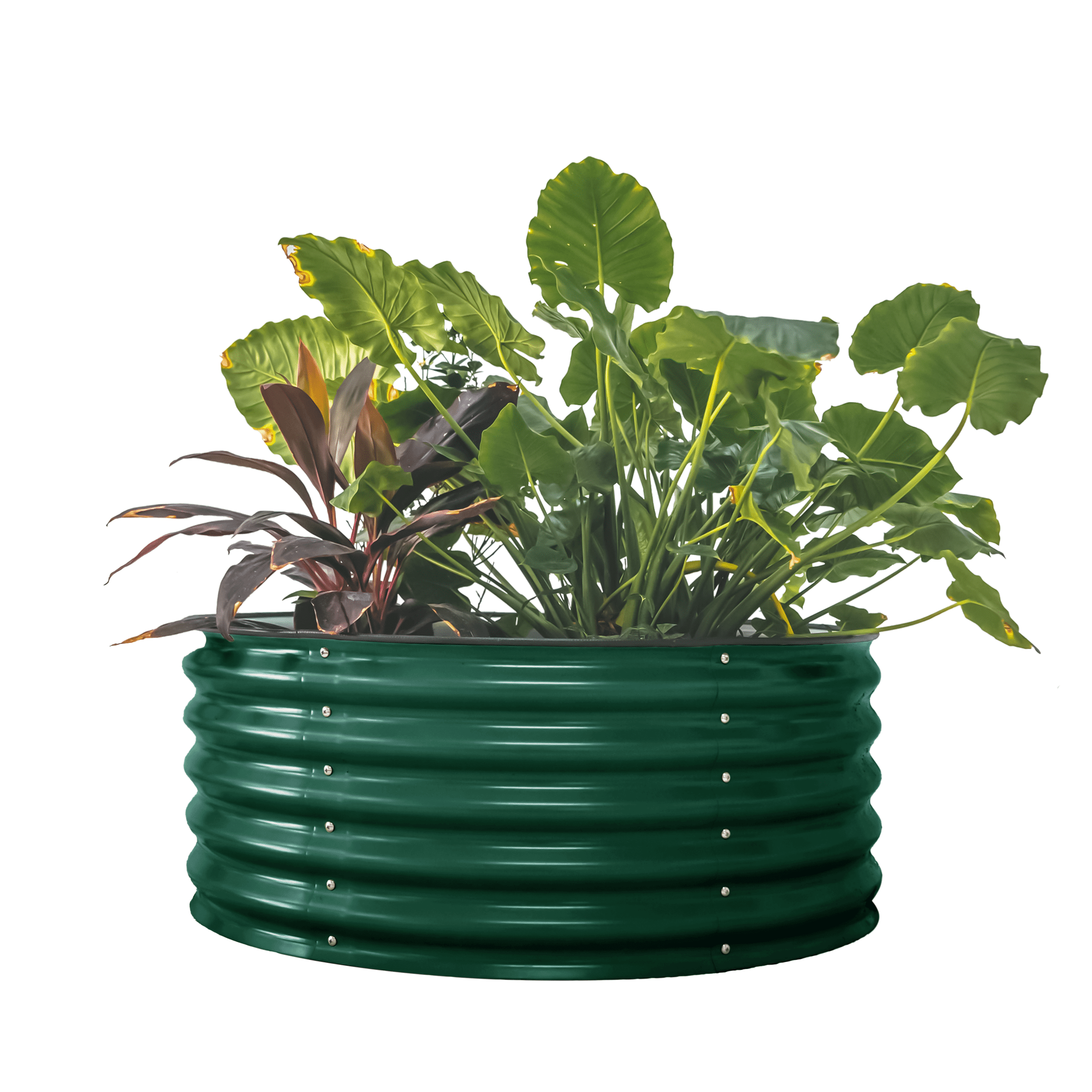 British Green 17" Tall Round Metal Outdoor Raised Garden Bed