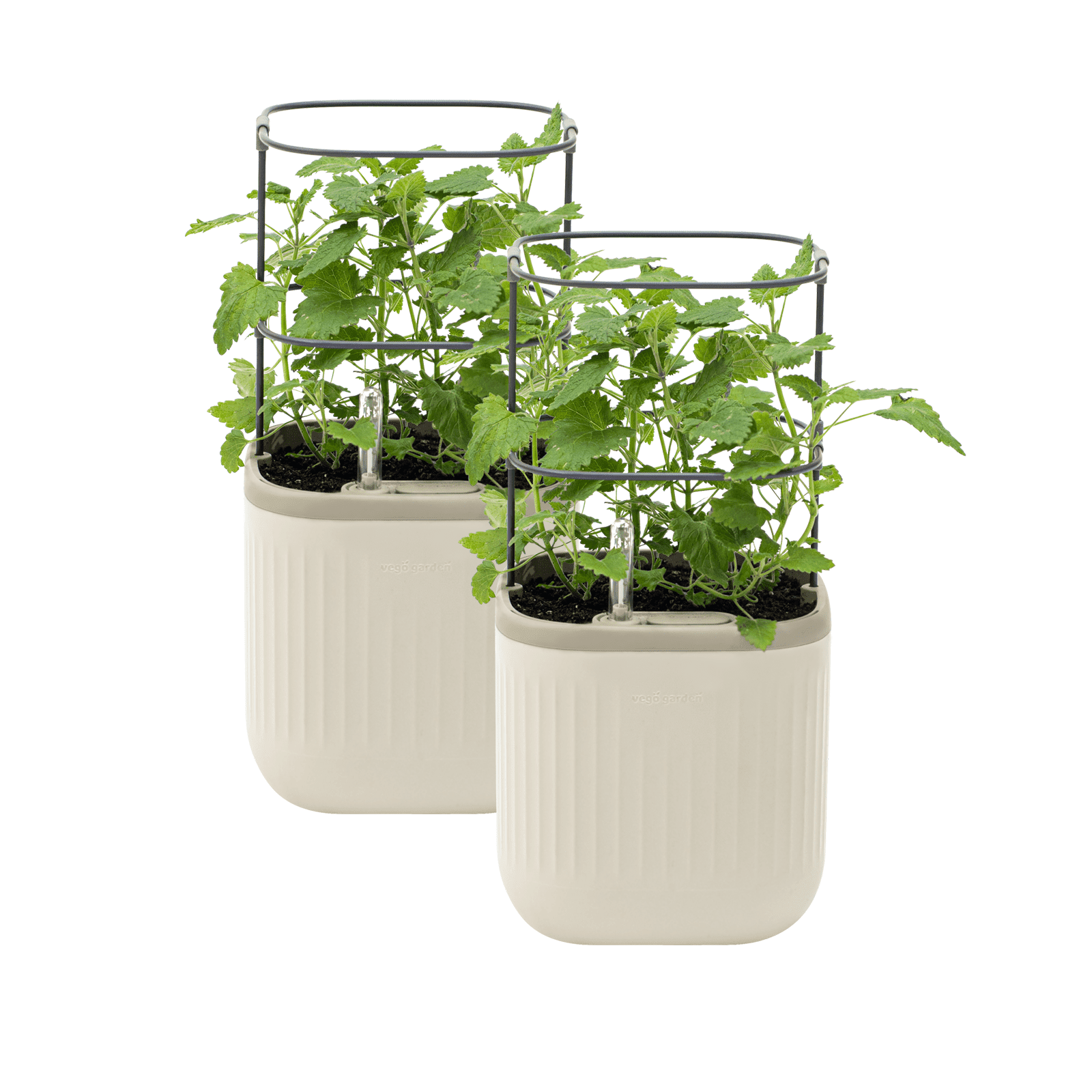 Cream White Self-Watering Mini Planter Pots with Trellis, 2 Pack