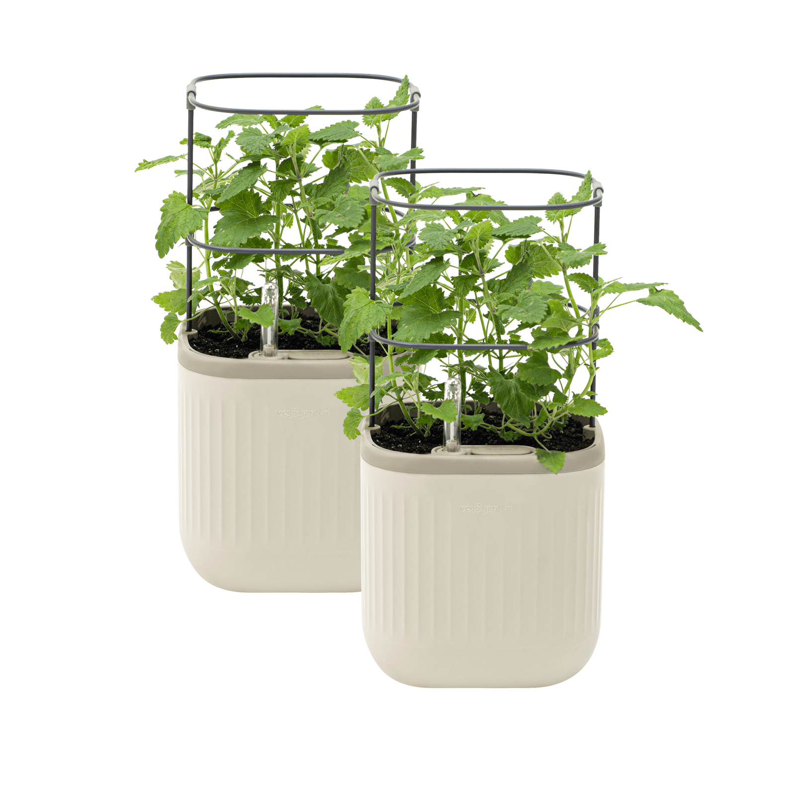 Cream White Self-Watering Mini Planter Pots with Trellis, 2 Pack