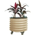 thumbnail image 1 of Vego Garden 2 x 2 ft Self-Watering Rolling Planter Raised Garden Bed Kits-Pearl White, 1 of 8