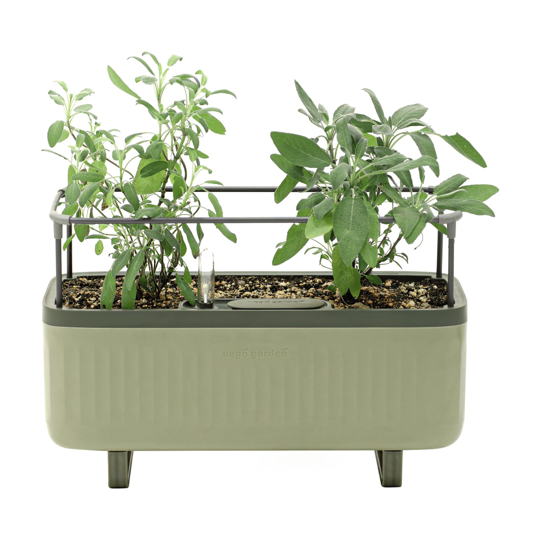 Sage Green Self-Watering Herb Planter Box with Trellis
