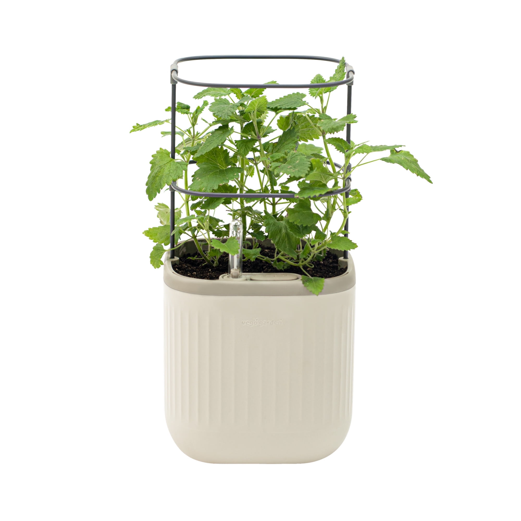 Mini Planter Box Vego Garden Mini Planter Box with Trellis Self-Watering Raised Garden ...