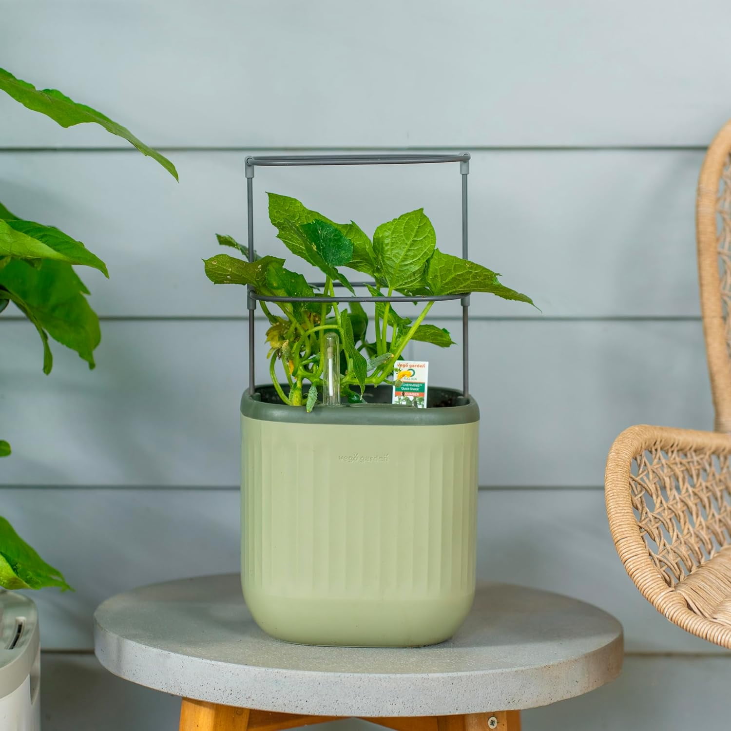 Sage Green Plastic Self-Watering Planter Pot with Trellis