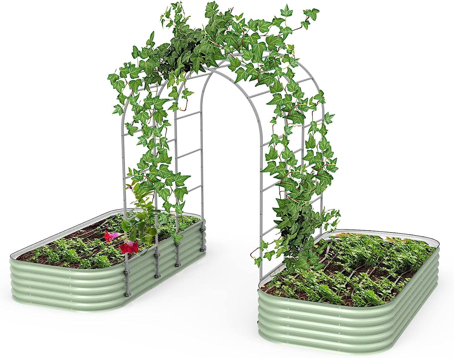 Vego Garden Modular Arched Trellis System Triple Section 5.5' Long ...