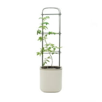 Vego Garden Self-Watering Rolling Tomato Planter Pot With Trellis Cream White