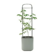 Vego Garden Self-Watering Rolling Tomato Planter Pot With Trellis Fog Gray