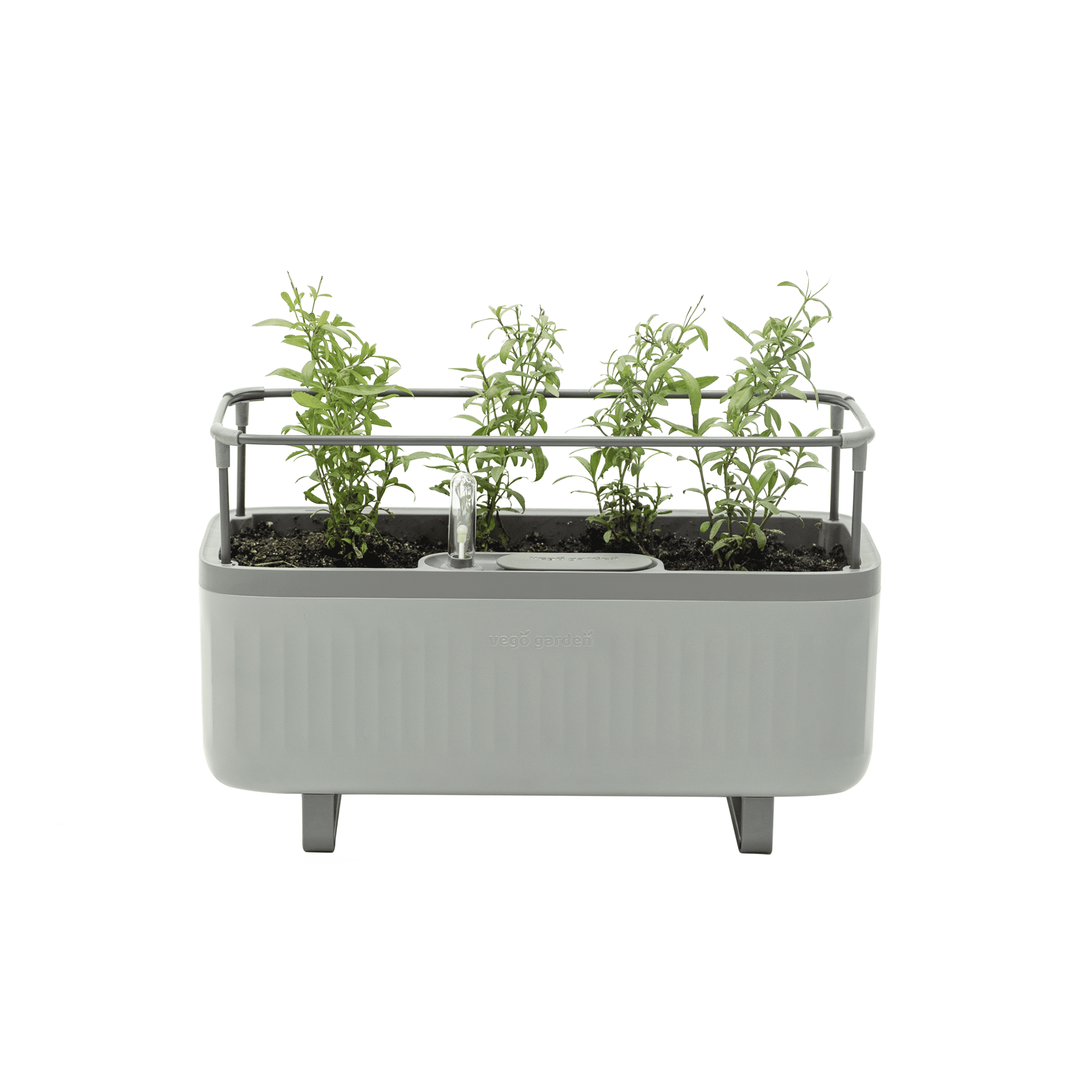 Fog Gray Self-Watering Herb Planter Box with Trellis