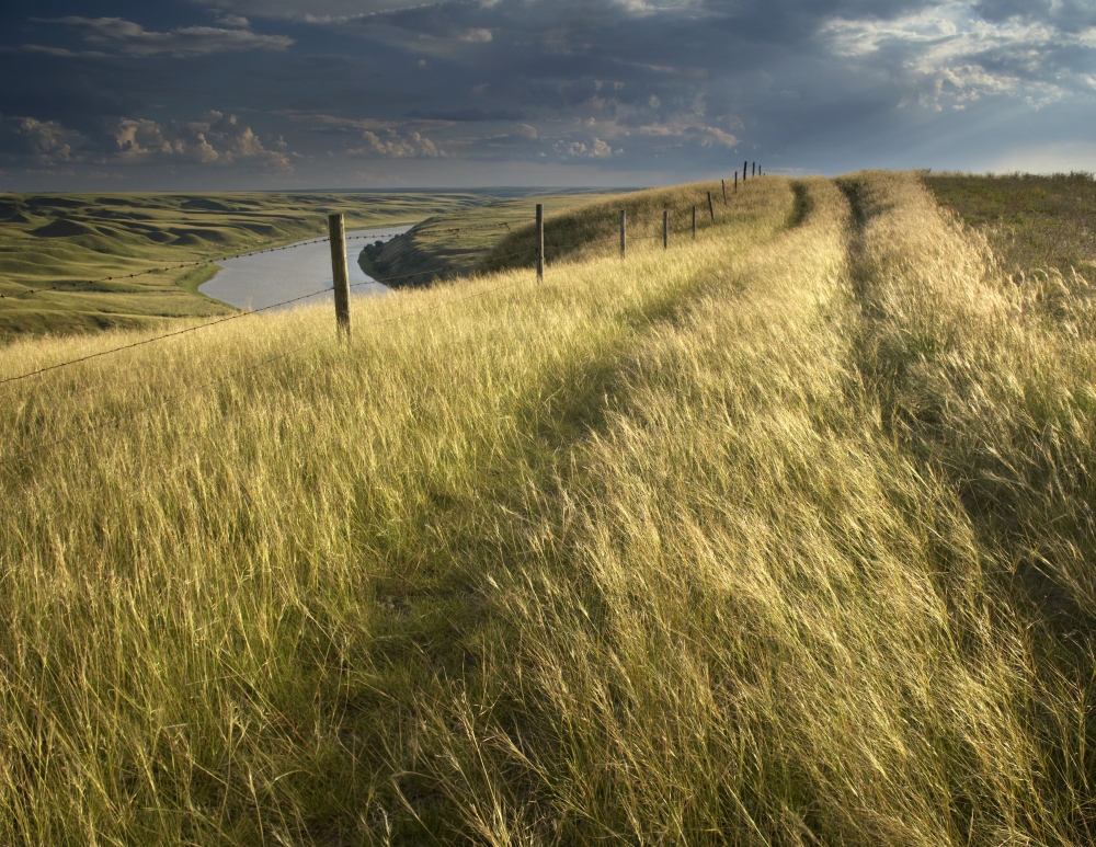 Vehicle Tracks Across Field And Red Deer River Alberta Canvas Art - Gemstone Images Design Pics (30 x 24)