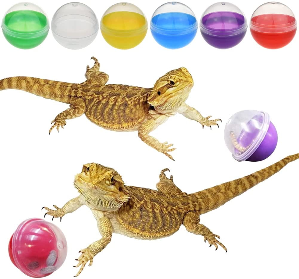 Vehomy 6Pcs Lizard Bearded Dragon Feeding Toys Ball Reptile Food