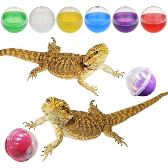 Vehomy 6Pcs Lizard Bearded Dragon Feeding Toys Ball Reptile Food Toys Ball Lizard Interactive Toys for Bearded Dragon, Lizard, Gecko and Small Animals