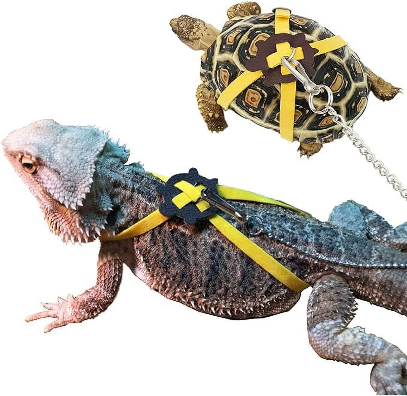 Vehomy Turtle Leash Lizard Leash Tortoise Harness Strap Pet Collar ...