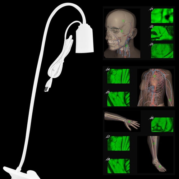 Vein Viewer Lights Imaging Vein Finder Vein Finder Vein Lights Imaging Viewer Display Machine For Adult Children
