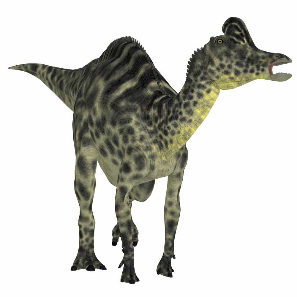 Velafrons duck-billed dinosaur Canvas Art - Corey FordStocktrek Images (28 x 28)
