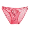 thumbnail image 1 of Velaura Vintage Shorts Underwear High Cut Panties for Women Underwear for Women Womens Cute Underwear Variety Pack Sheer Bikini Panties Women Lace Sexy Panties Underwear G String Thongs Lingerie For, 1 of 3