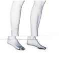 thumbnail image 1 of Veldisa, 1 of 1