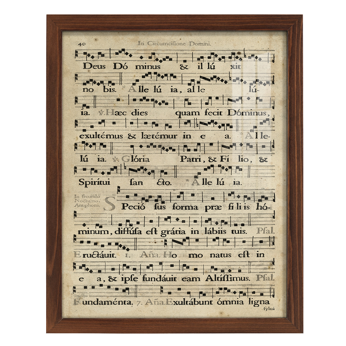 Vellum Songbook II -Framed Print w/glass-Chestnut