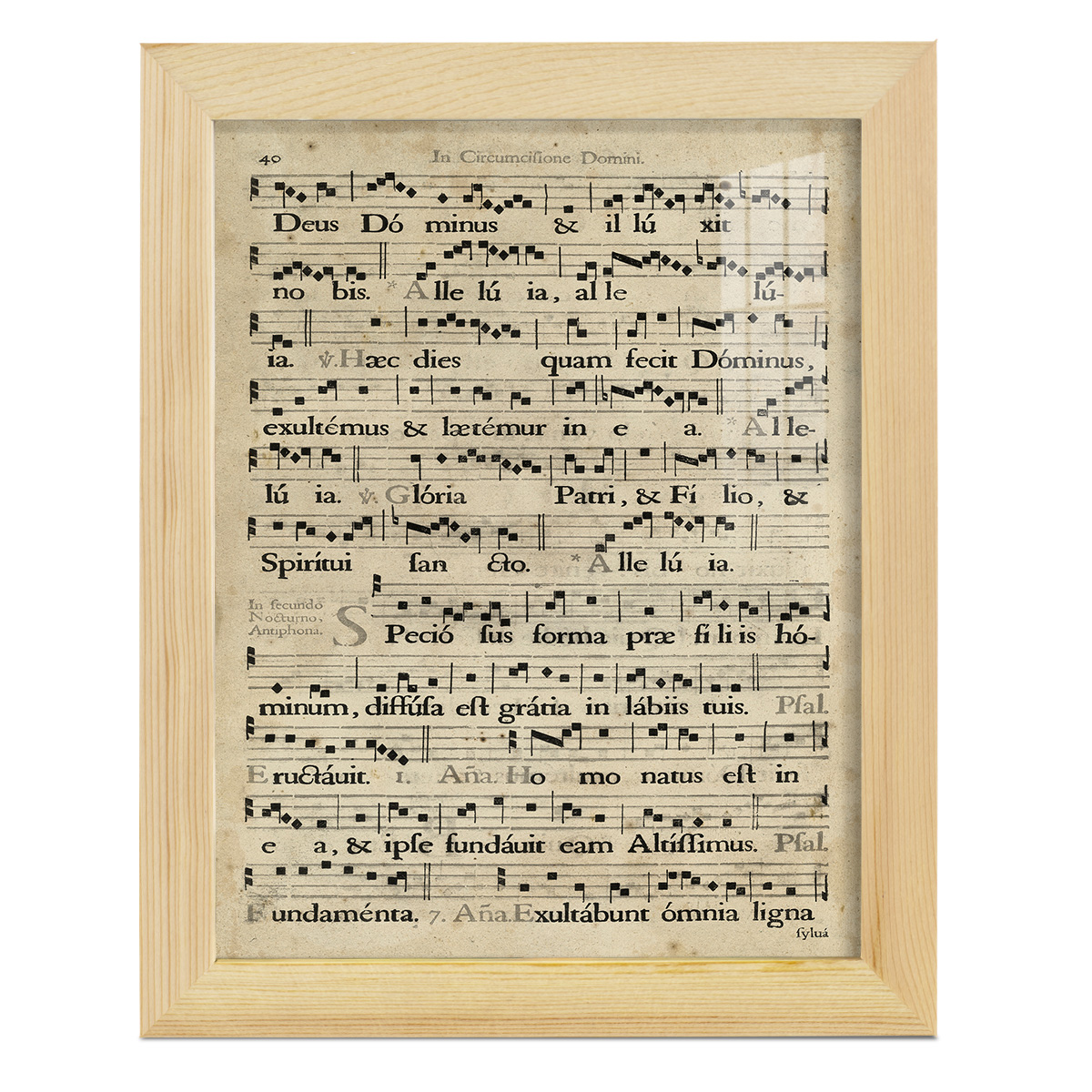 Vellum Songbook II -Framed Print w/glass-Natural Wood