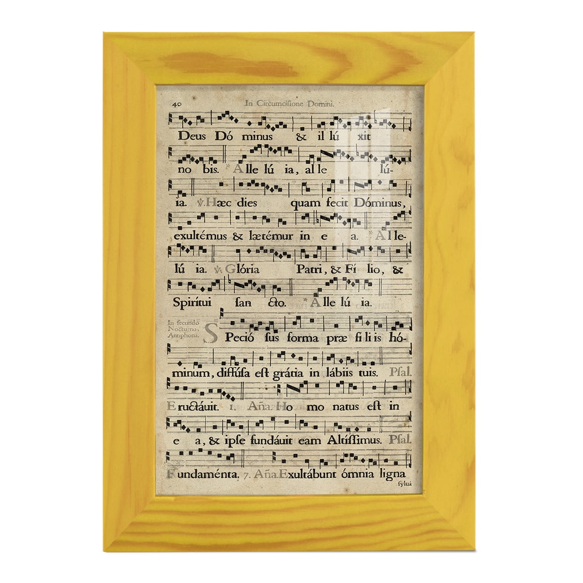 Vellum Songbook II -Framed Print w/glass-Sunflower Yellow