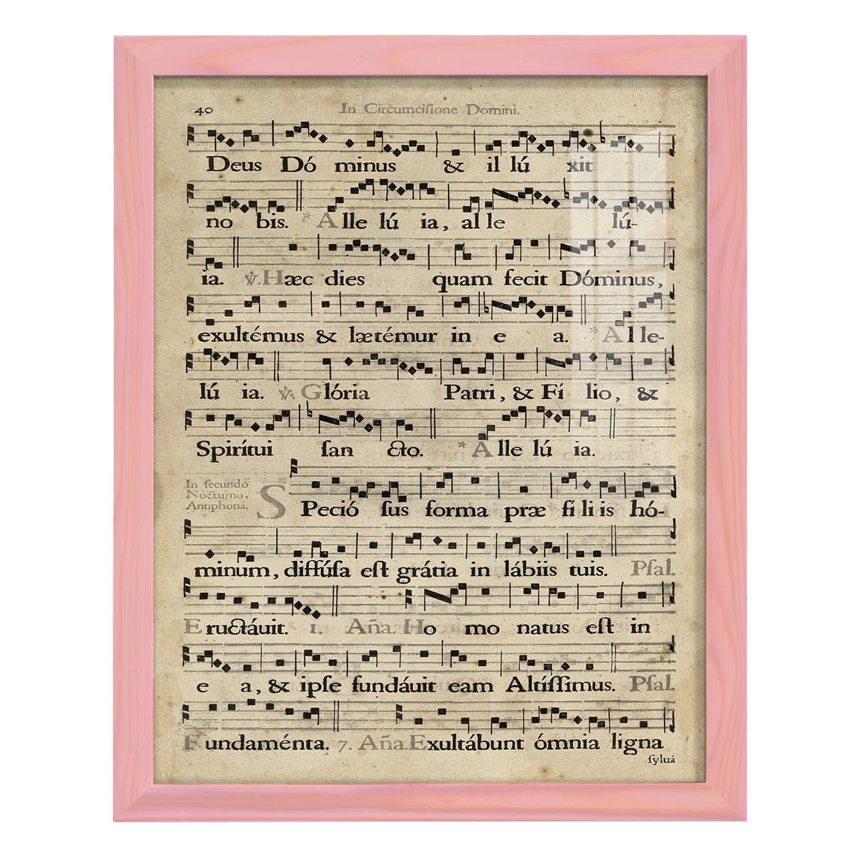 Vellum Songbook II -Framed Print w/glass-Sunset Pink