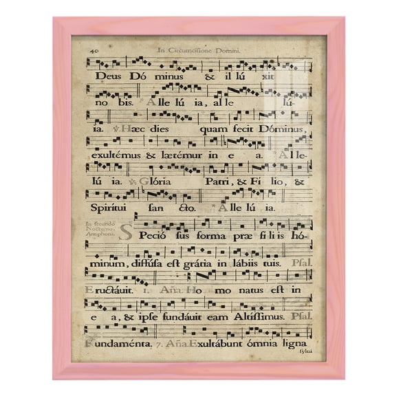 Vellum Songbook II -Framed Print w/glass-Sunset Pink