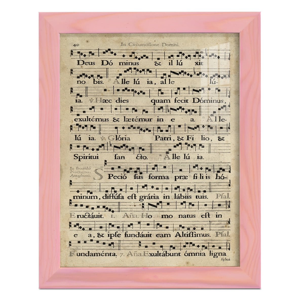 Vellum Songbook II -Framed Print w/glass-Sunset Pink
