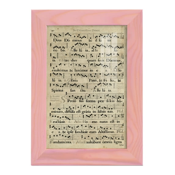 Vellum Songbook II -Framed Print w/glass-Sunset Pink