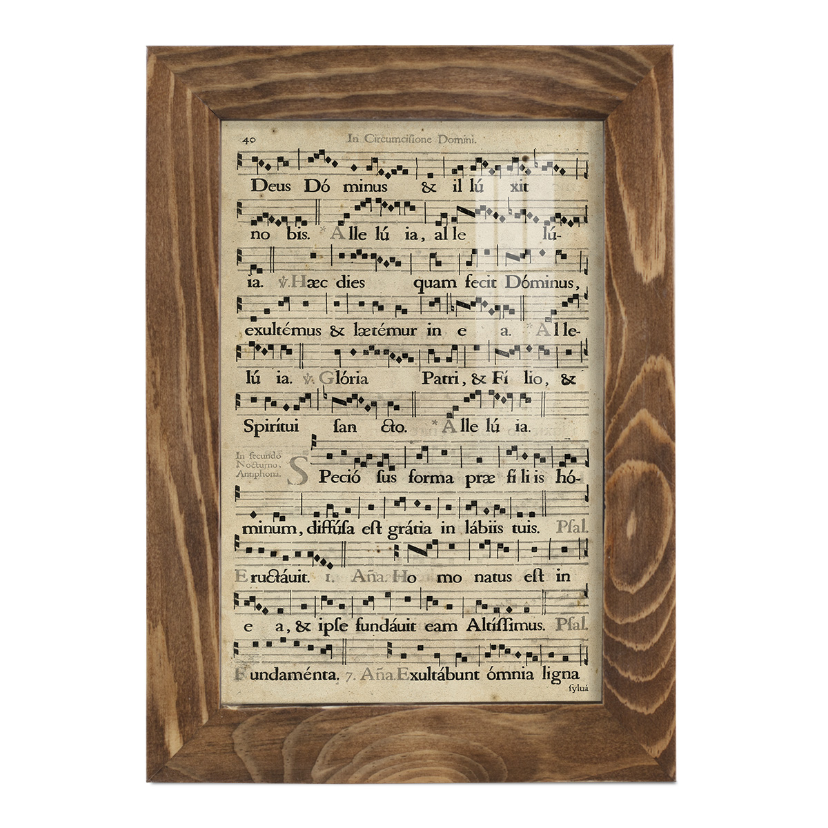 Vellum Songbook II -Framed Print w/glass-Walnut