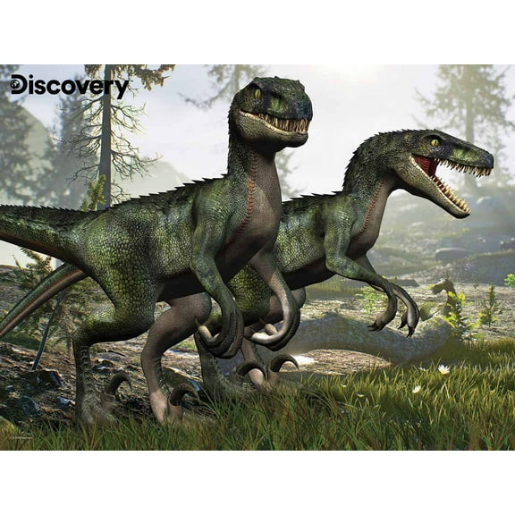 Velociraptor Discovery