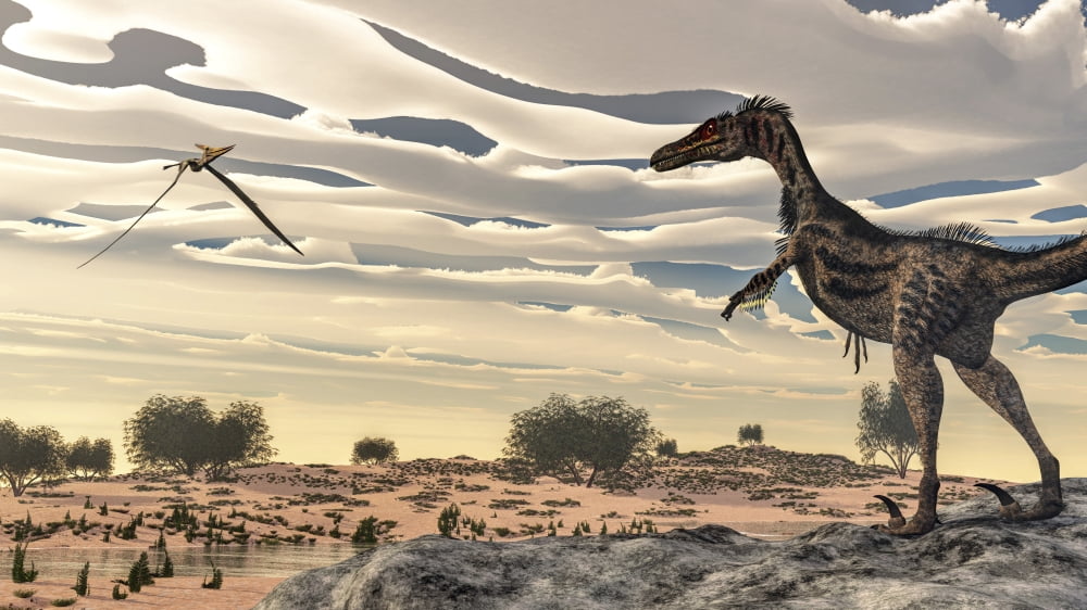 Velociraptor dinosaur observing a pteranodon flying over the desert Canvas Art - Elena DuvernayStocktrek Images (19 x 11)