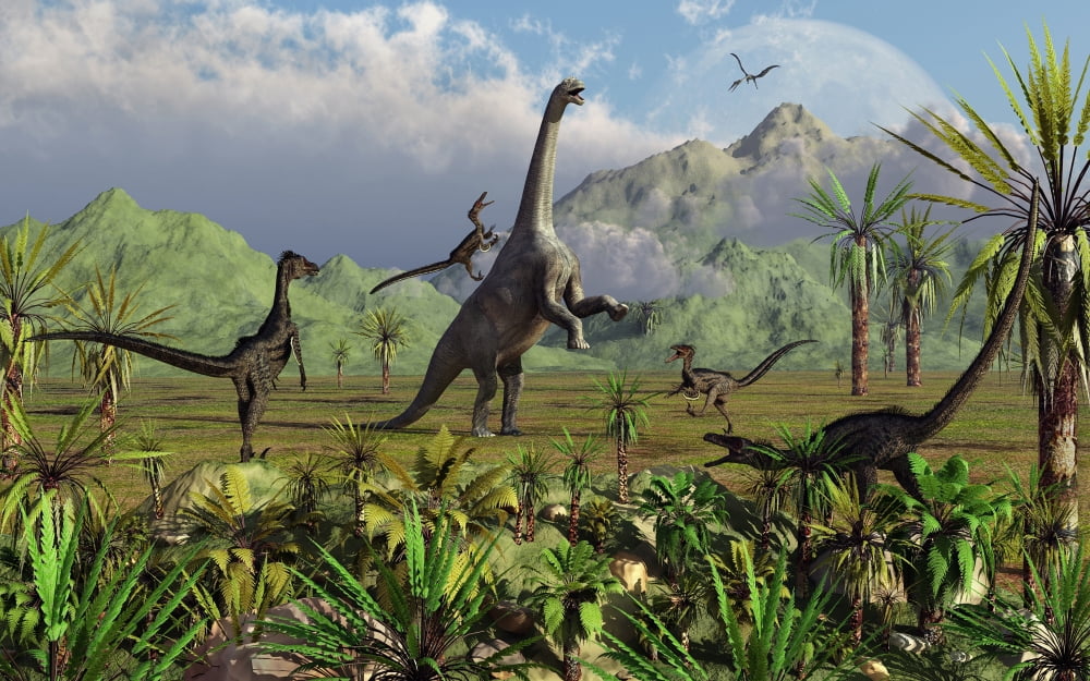 Velociraptor dinosaurs attack a Camarasaurus for their next meal Canvas Art - Mark StevensonStocktrek Images (18 x 12)