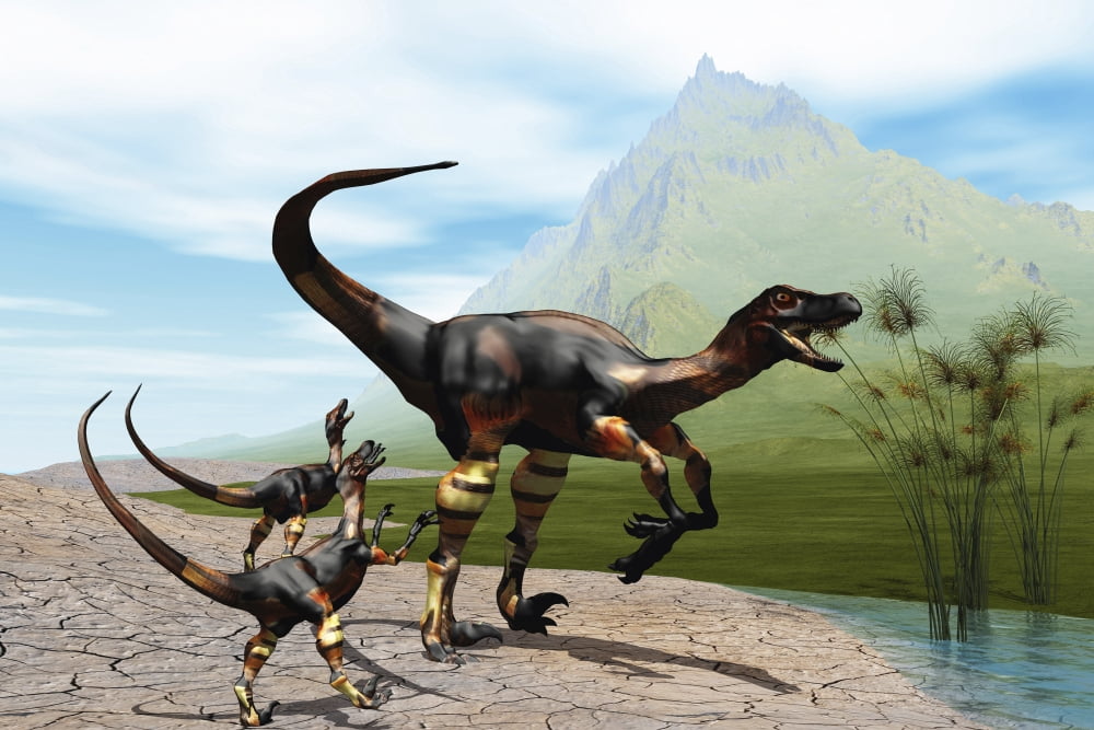 Velociraptor offspring beg mother dinosaur for food near a pond Canvas Art - Corey FordStocktrek Images (35 x 23)