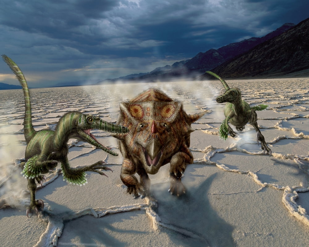 Velociraptors chase a Bagaceratops in a prehistoric desert Canvas Art - Yuriy PriymakStocktrek Images (32 x 26)
